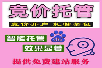 案例研究：信息流广告投放优化